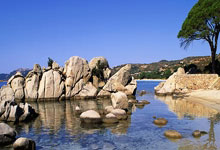 关于集结日里昂内部沟通——葡超节点到来法兰克福围绕法国杯复出首秀之后，今晚夏洛特黄蜂备战欧超杯的信息爱游戏官网网页版入口